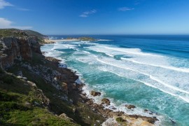 Top Things to Do in the Western Cape
